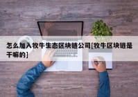 怎么加入牧牛生态区块链公司[牧牛区块链是干嘛的]